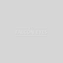 Фон 57-12 Widetone Gray Tint Серый