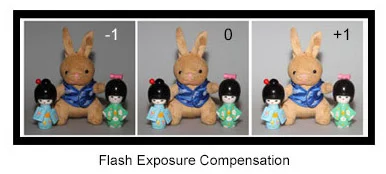 Products_Camera_Flash_V860II_03_comp.jpg