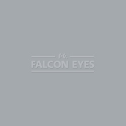 На фото изображено Фон 60-12 Widetone Focus Gray Серый