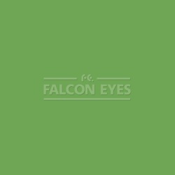 На фото изображено Фон 46-12 Widetone Tech Green Хромакей