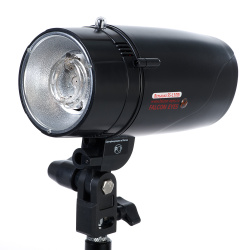 На фото изображено Вспышка SS-150BJ