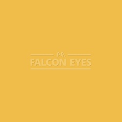 На фото изображено Фон 71-12 Widetone Deep Yellow Желтый