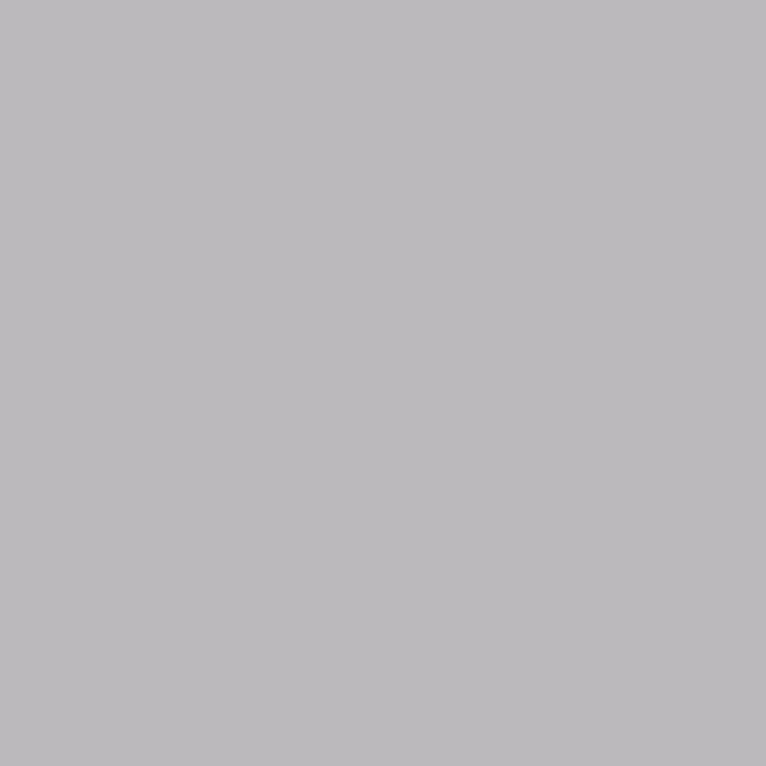 На фото изображено Фон бумажный Polaroid Light Grey Светло-серый 2,72*11 м