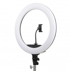 На фото изображено Осветитель кольцевой Falcon Eyes BeautyLight 450R LED
