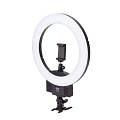 На фото изображено Осветитель кольцевой Falcon Eyes BeautyLight 240 LED
