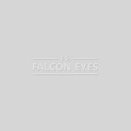Фон 57-12 Widetone Gray Tint Серый фото На фото изображено Фон 57-12 Widetone Gray Tint Серый