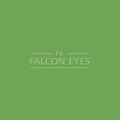 На фото изображено Фон 46-12 Widetone Tech Green Хромакей