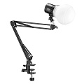 На фото изображено Комплект светодиодных осветителей Godox Litemons LC30D-K1 настольный