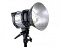 На фото изображено Осветитель Falcon Eyes DS-1000 галогеновый