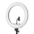 Осветитель кольцевой Falcon Eyes BeautyLight 480RC LED фото На фото изображено Осветитель кольцевой Falcon Eyes BeautyLight 480RC LED