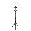 На фото изображено Осветитель кольцевой Falcon Eyes BeautyLight 480LS LED со стойкой