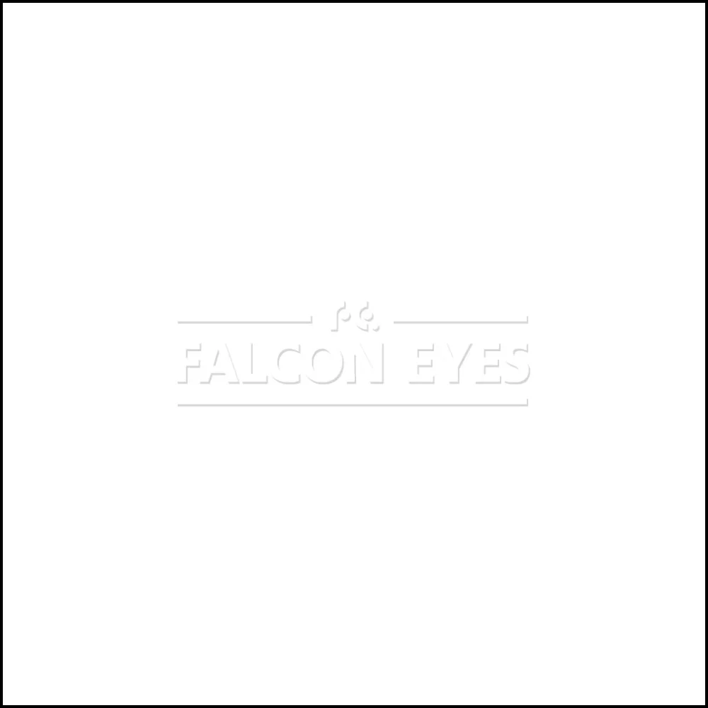 Фон 1-12 Widetone Super White Белый